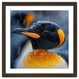 King Penguin Close Up In Snowfall thumbnail