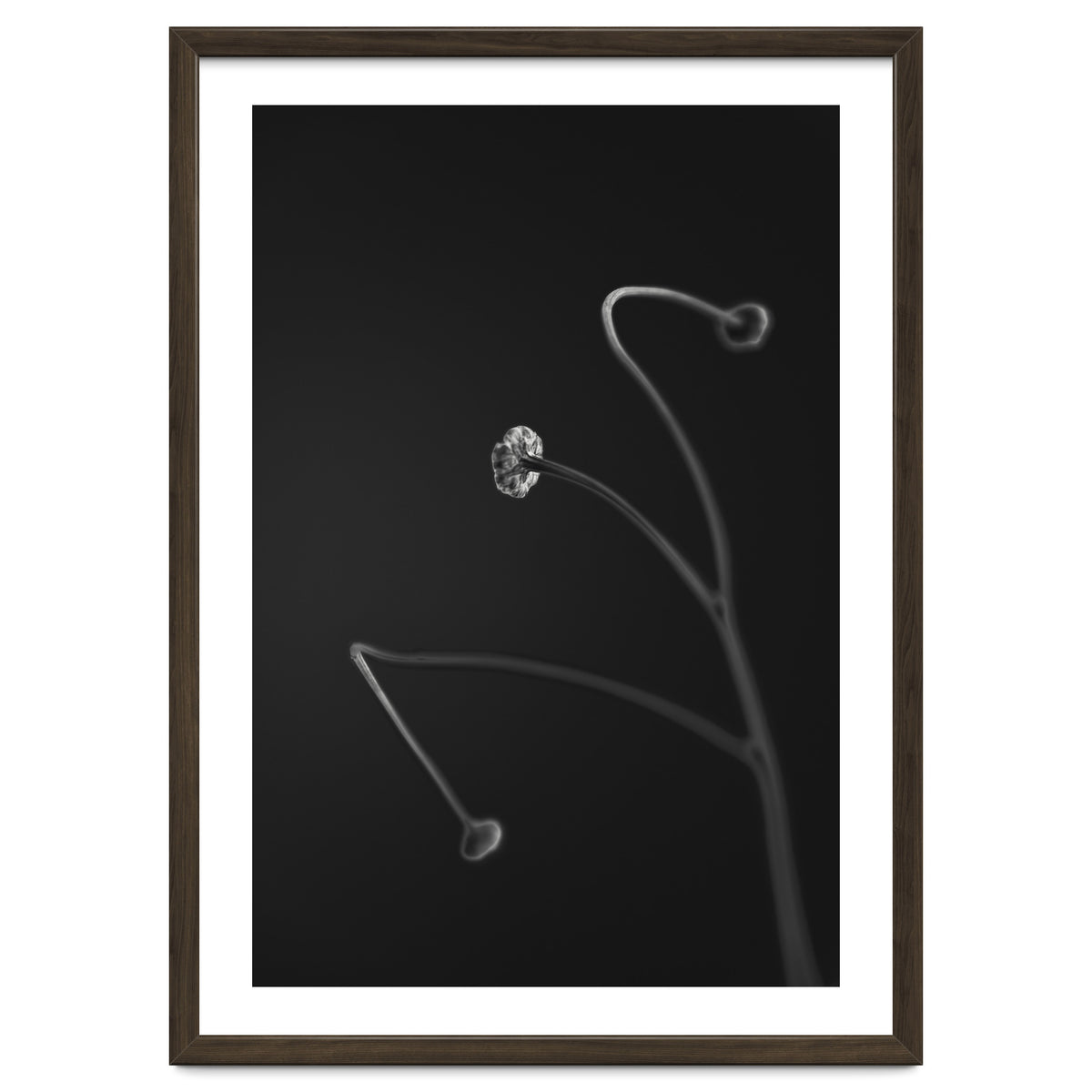 In light of current events VII