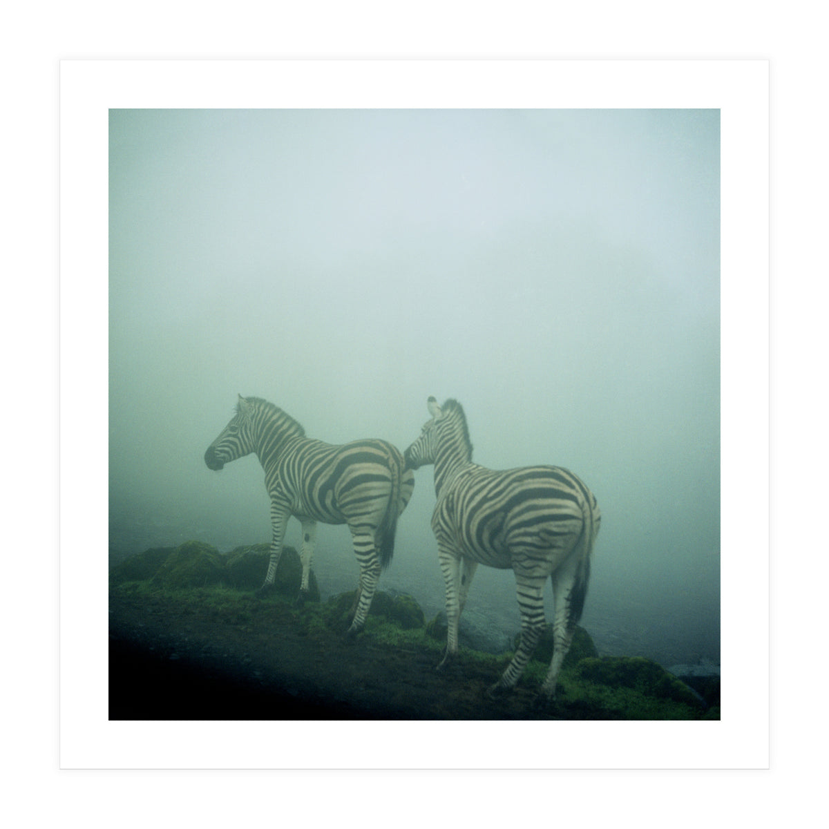 Silence of breath - 14 (Print Only)