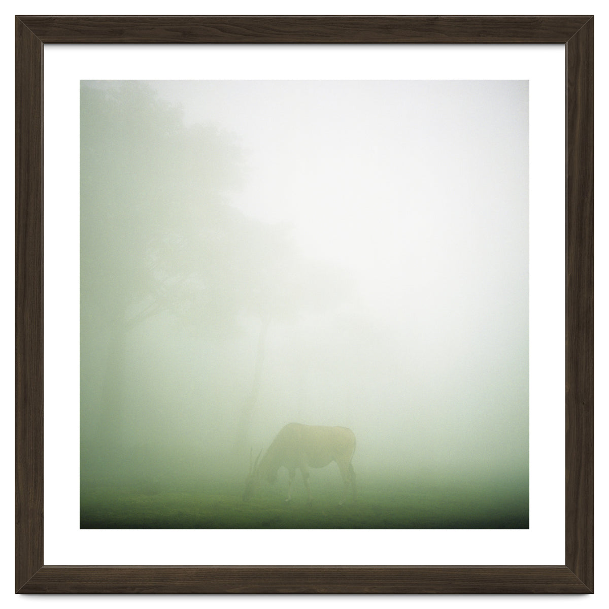 Silence of breath - 09