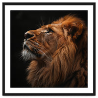 Majestic Lion Portrait Profile Majestic Beast