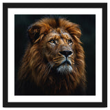 Majestic Lion Portrait In Gentle Rain thumbnail
