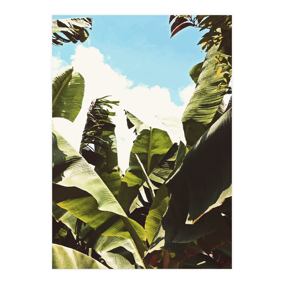 Silent Compilation (Print Only)