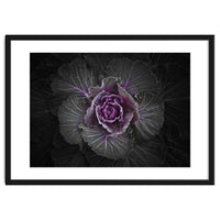 Backyard Flowers No 108 Color Version