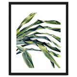 Green Palm Leaves thumbnail