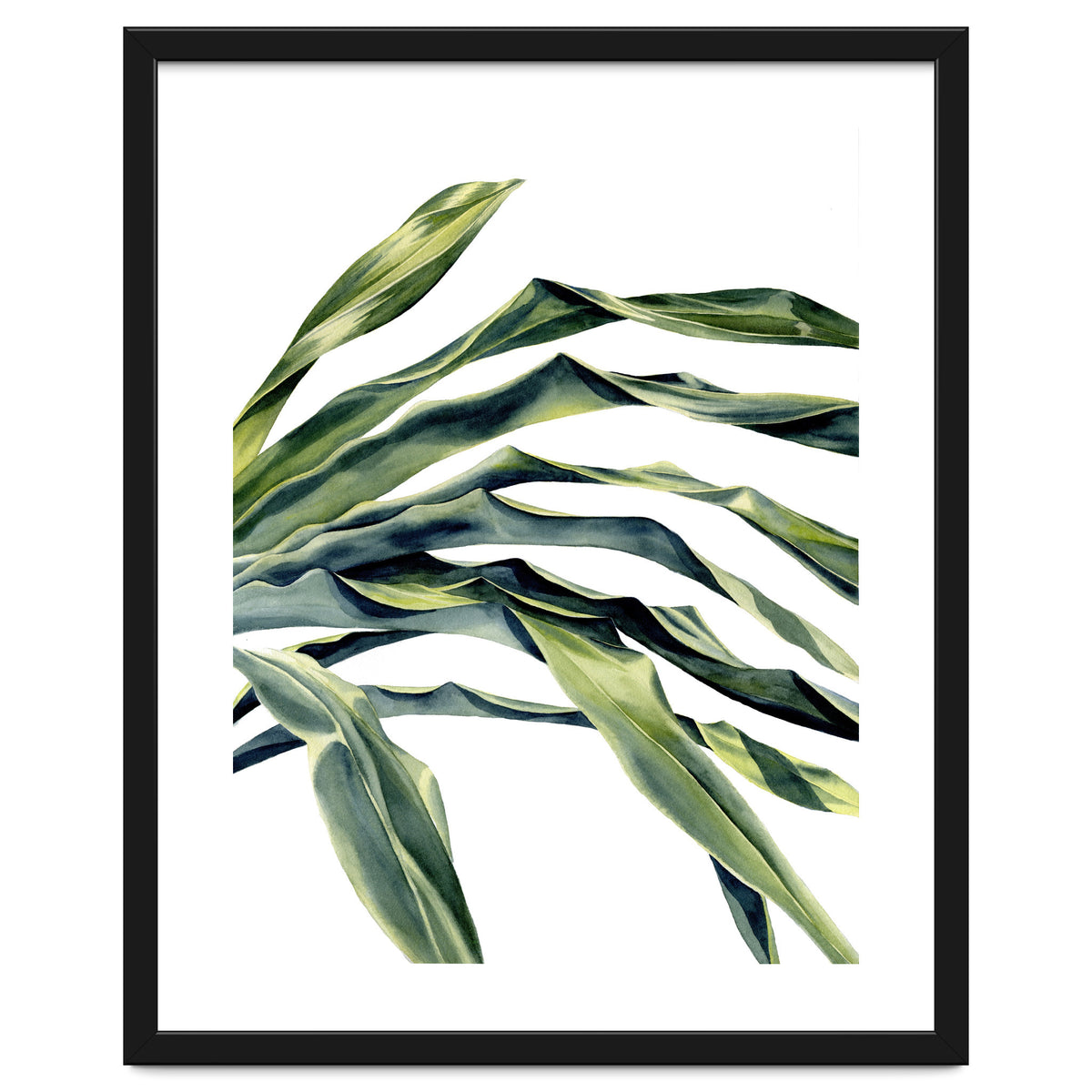 Green Palm Leaves