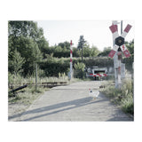A chicken crossing a railroad (Print Only) thumbnail