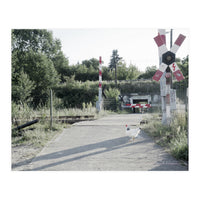 A chicken crossing a railroad (Print Only)