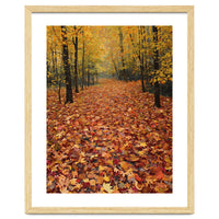 Ethereal Autumn Forest Path