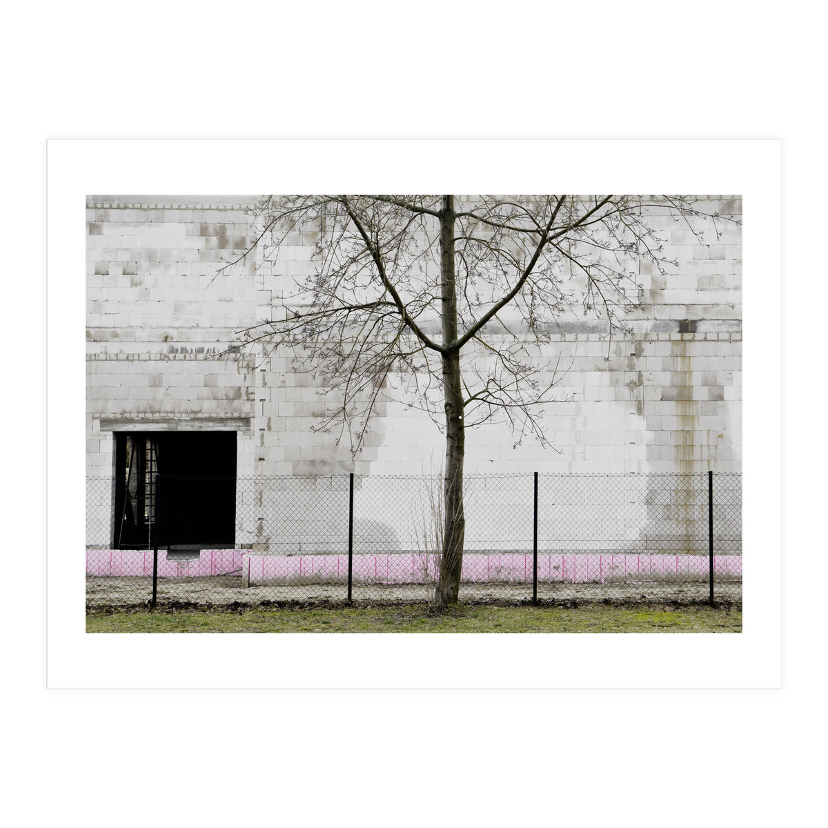 A tree in front of the wall (Print Only)