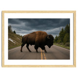Bison on the Road , Yellowstone Wildlife Photography thumbnail
