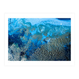 Revitalize (Print Only) thumbnail