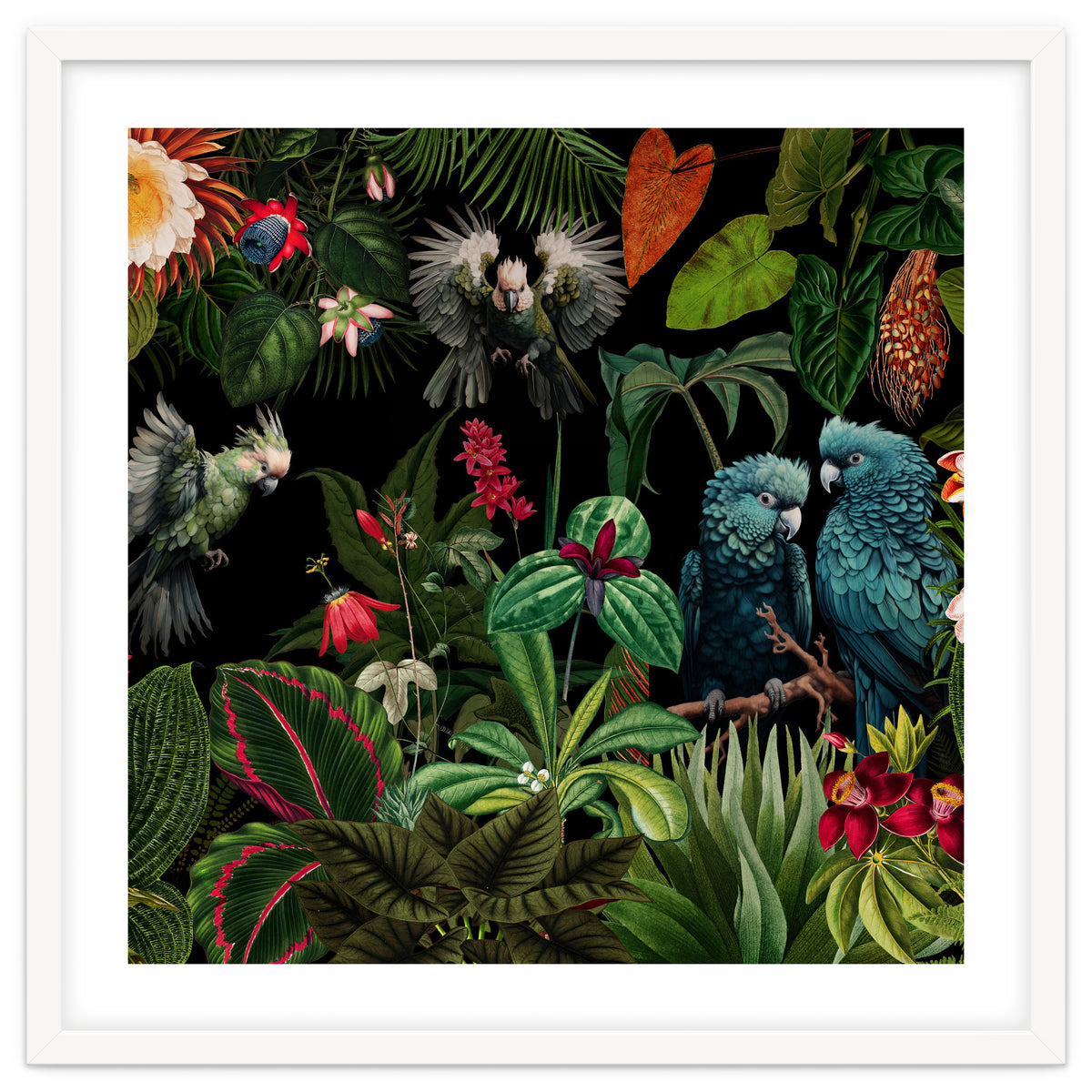 Moody Botanical Midnight Jungle Birds