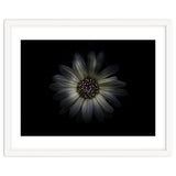 Backyard Flowers No 27 Color Version thumbnail