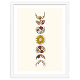 Floral Phases Of The Moon thumbnail