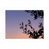 Silhouette of a tree against a colorful sky (Print Only)