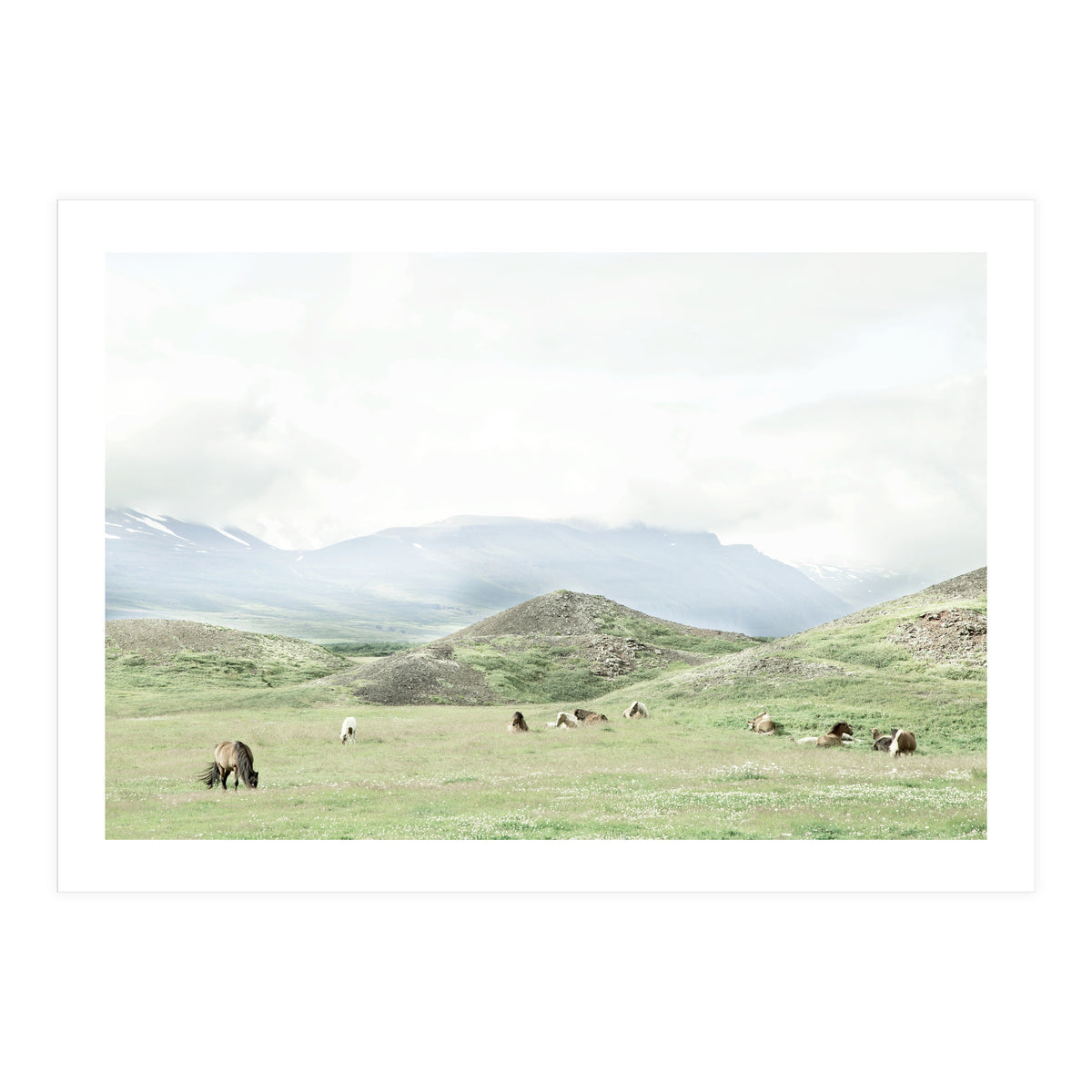 Relaxing horses on a sunny day calm field - Iceland (Print Only)