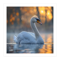 Beautiful Swan Floating On Water At Sunset (Print Only)