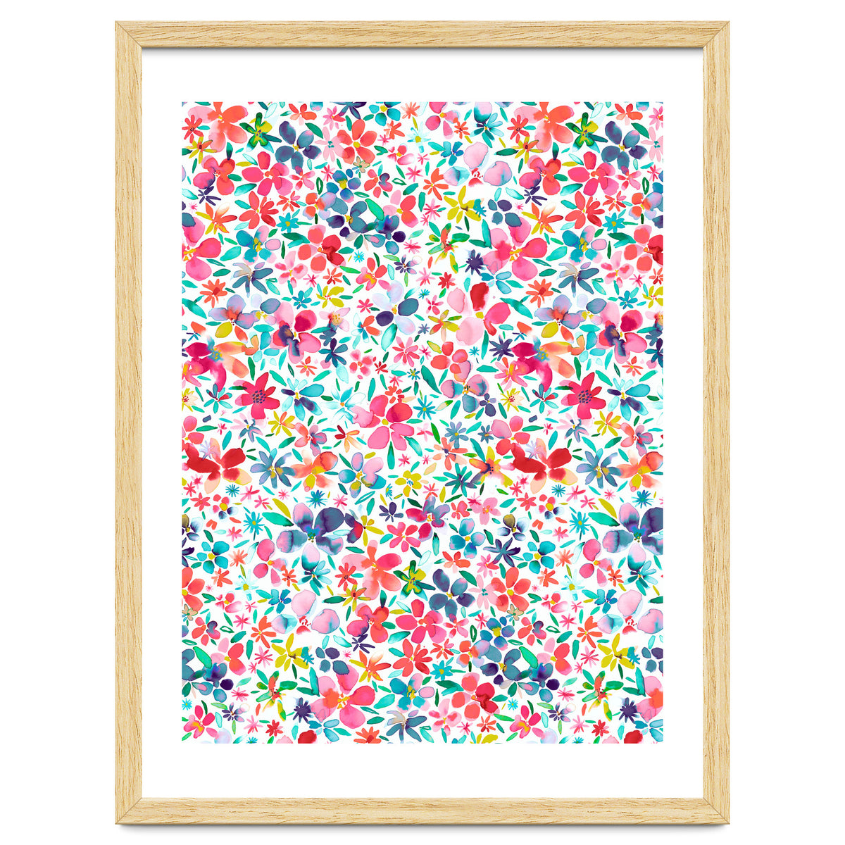 Colorful Flower Petals