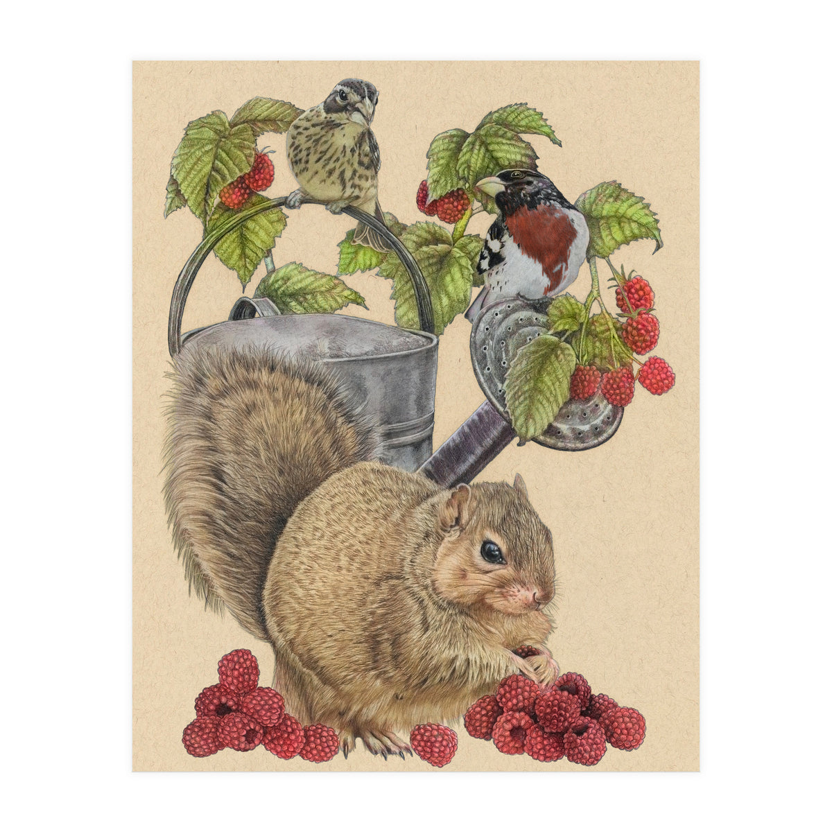 Squirrel Bgmatch (Print Only)