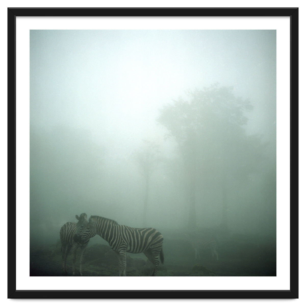 Silence of breath - 15