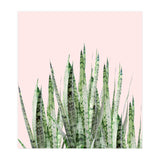 Botanical Balance (Print Only) thumbnail
