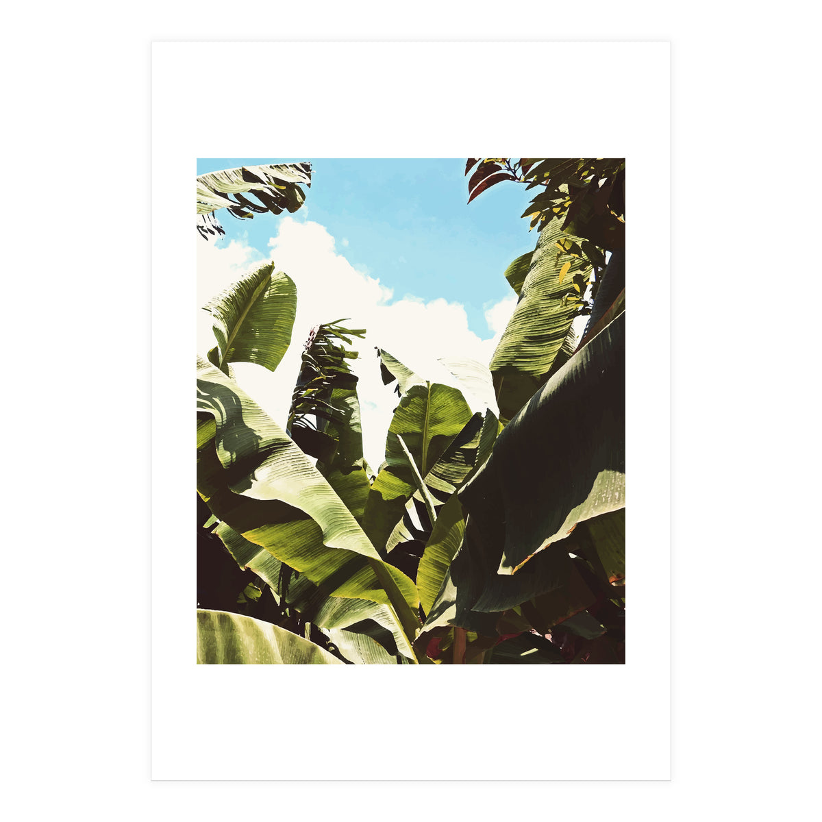 Silent Compilation (Print Only)