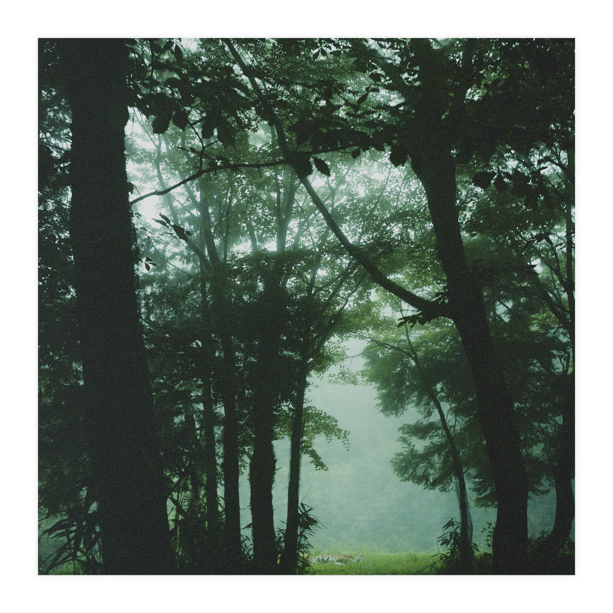 Silence of breath - 13 (Print Only)