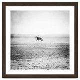 Sea Horse thumbnail