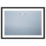 A flying seagull in the winter sky thumbnail