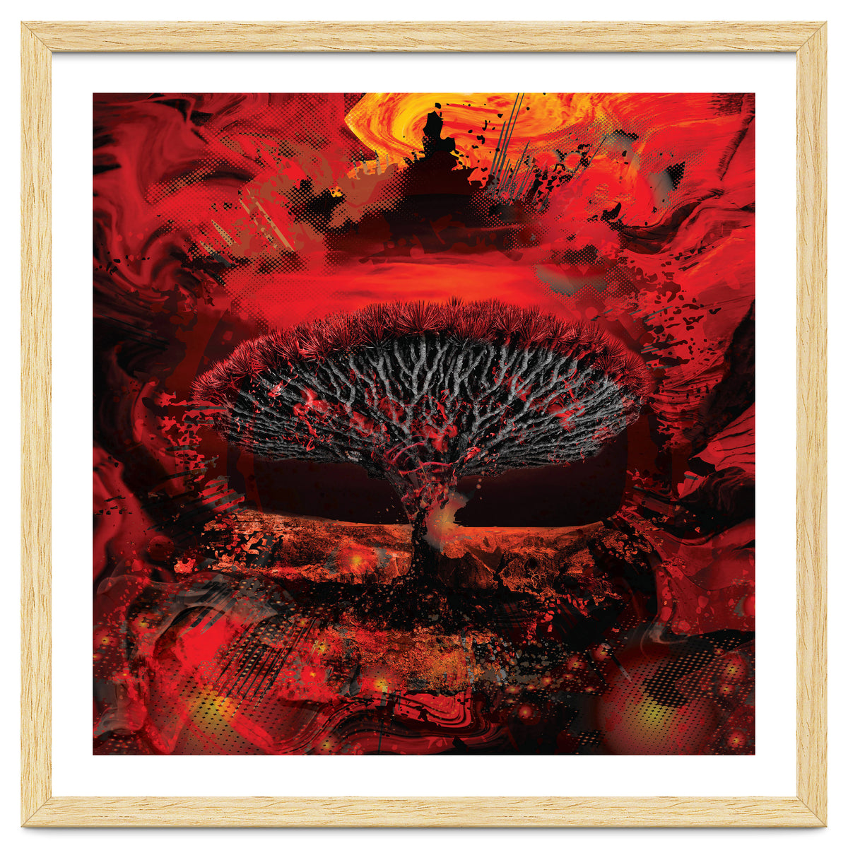 Socotra Dragon Blood tree