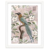 Exotic Bird thumbnail