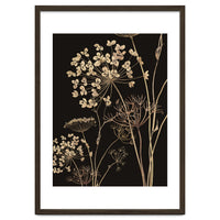 Wildflowers I