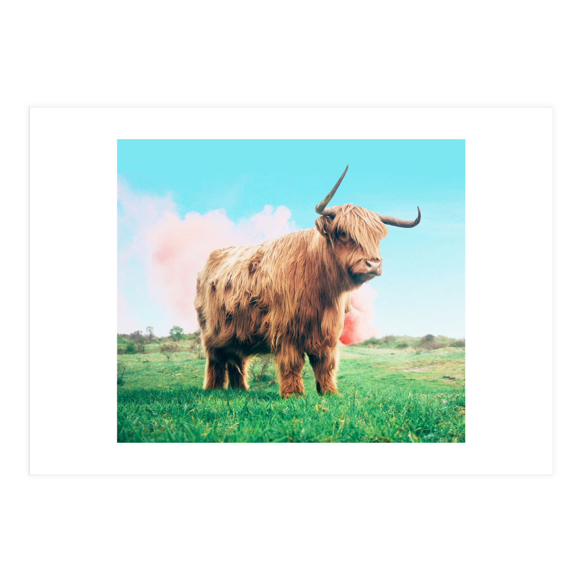 Highland Cow #society6 #decor #buyart (Print Only)