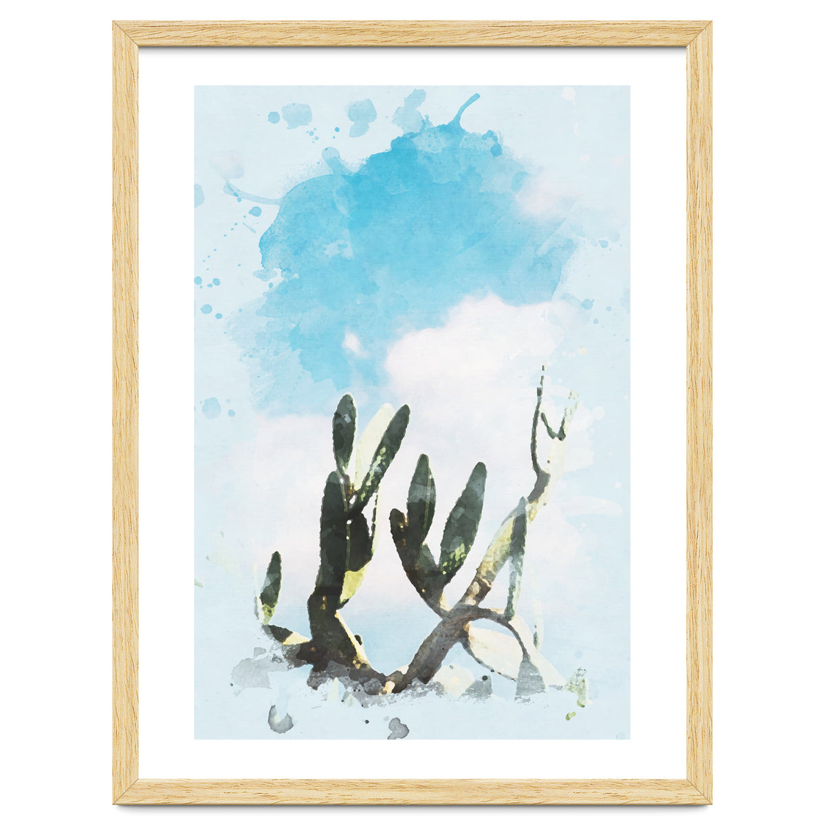 Cactus & Sky