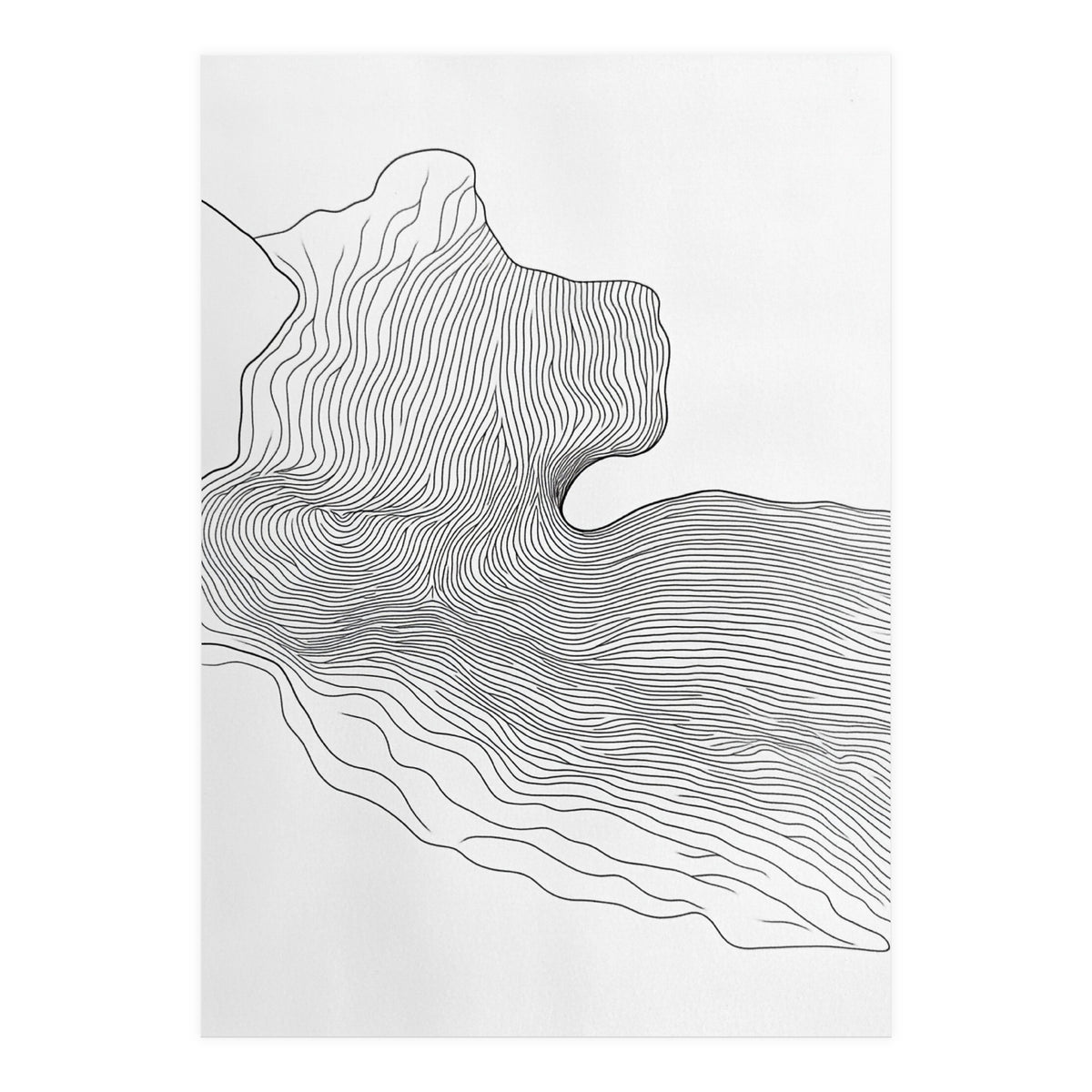 Abstract Black And White Organic Flowing Lines Pattern (Print Only)