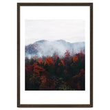 Fog thumbnail