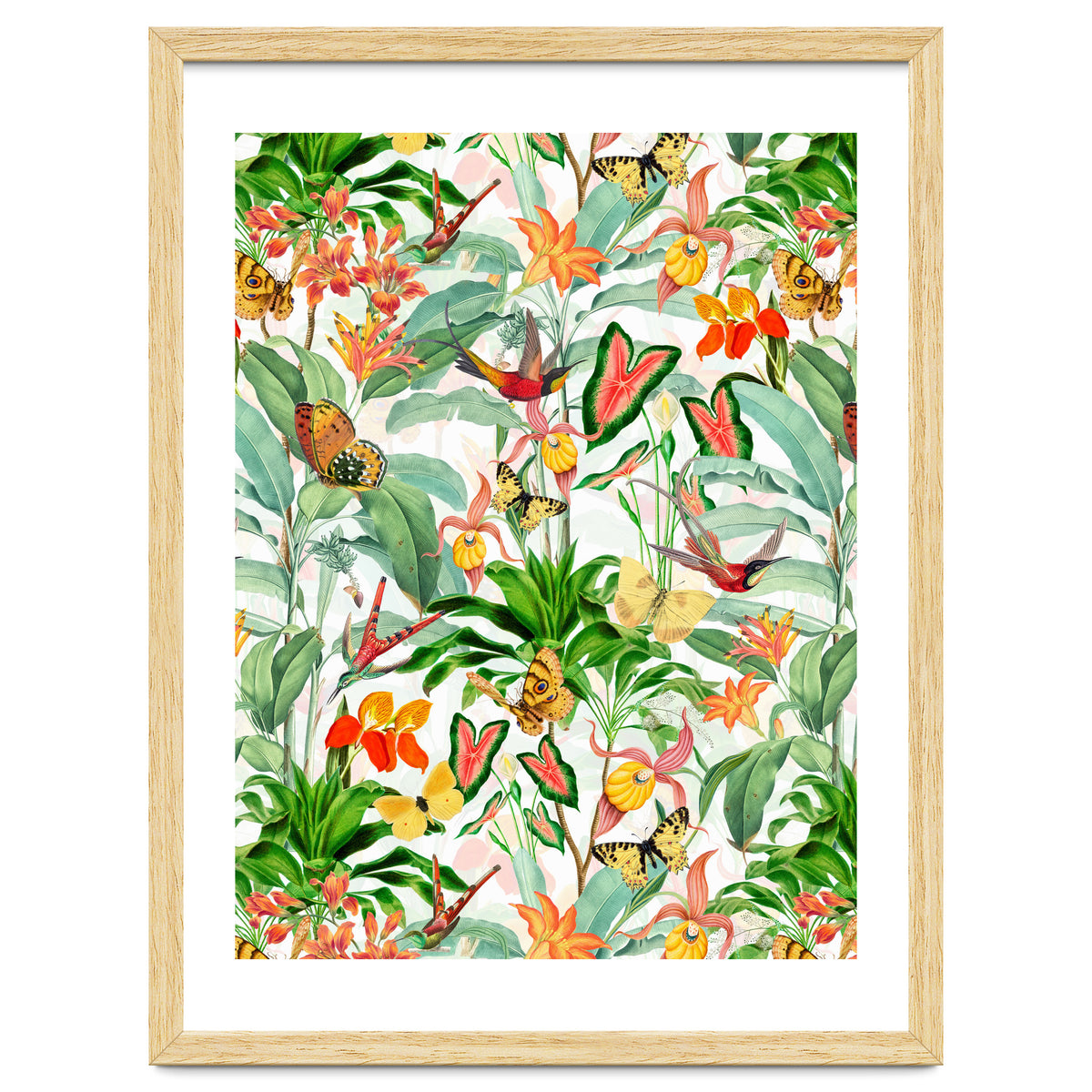 Birds And Butterflies In Tropical Jungle