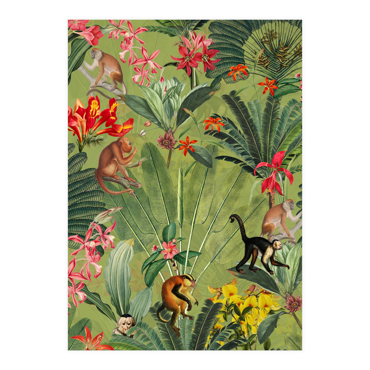 Monkeys In Tropical Jungle Paradise (Print Only)