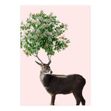One With Nature V2 (Print Only) thumbnail