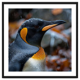 King Penguin In Rain With Water Drops thumbnail
