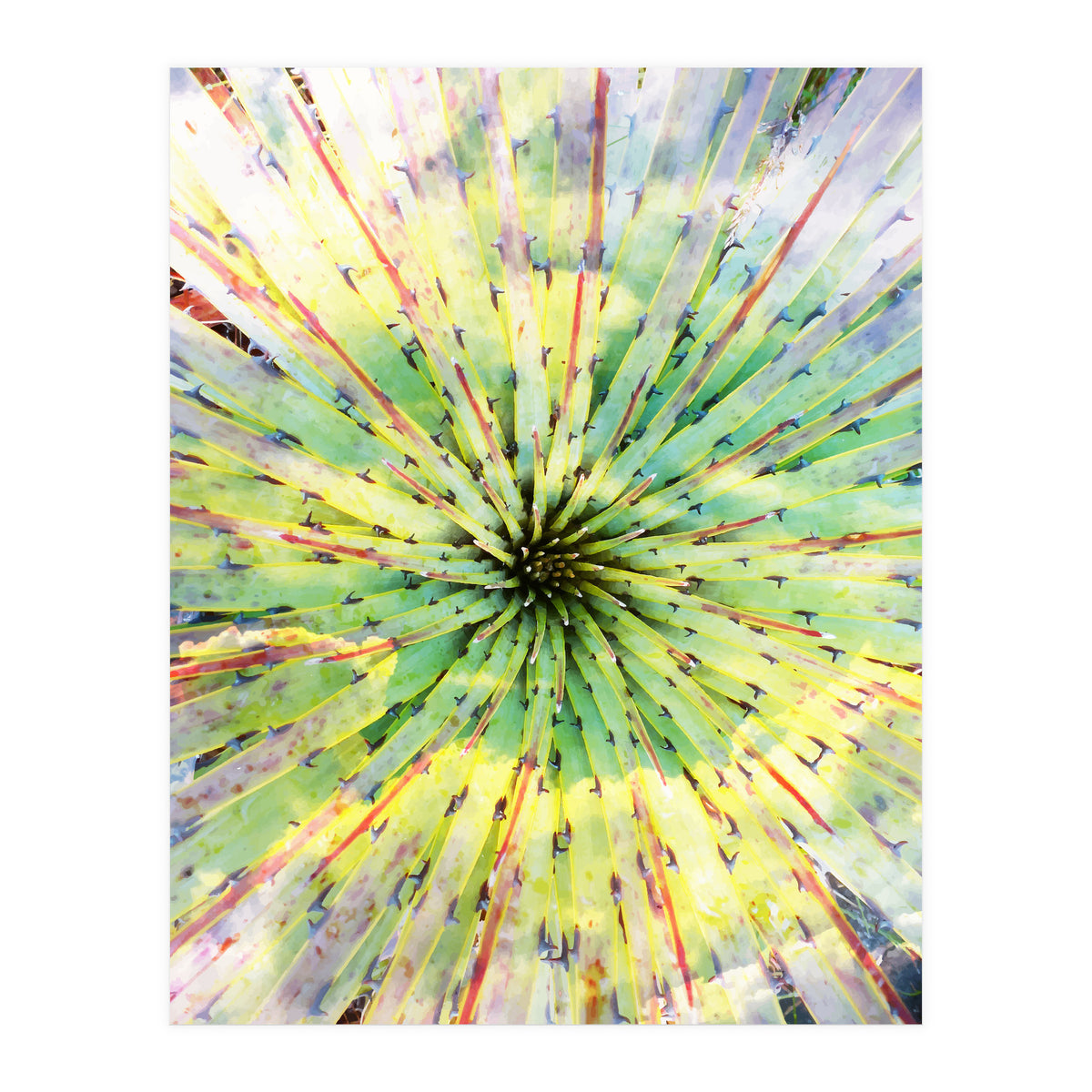 Bitter Sweet (Print Only)