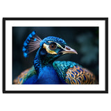 Peacock Head Close Up Majestic Blue Bird thumbnail