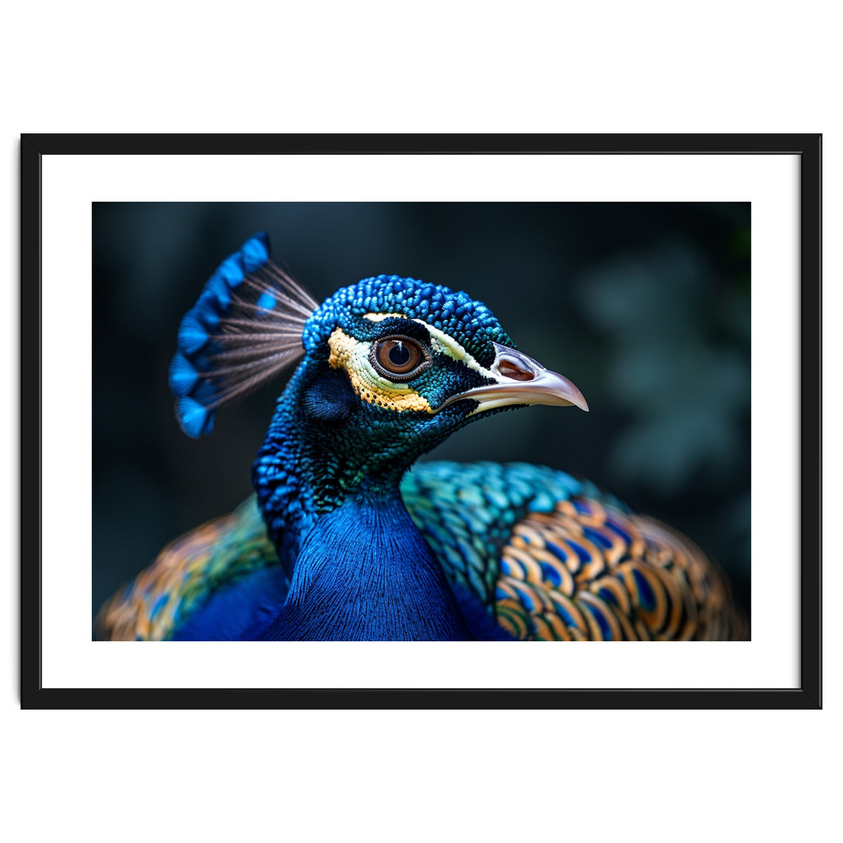 Peacock Head Close Up Majestic Blue Bird