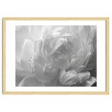 Ethereal Monochromatic Peony Petal Macro thumbnail