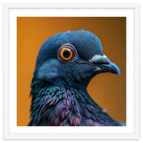 Close Up Of A Pigeon's Head And Neck thumbnail