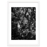 Tree From Below Black Silhouette thumbnail