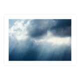 Rain (Print Only) thumbnail