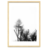 Miminalist Palm thumbnail