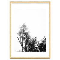 Miminalist Palm